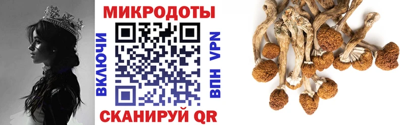 OMG вход  Лукоянов  Псилоцибиновые грибы GOLDEN TEACHER 
